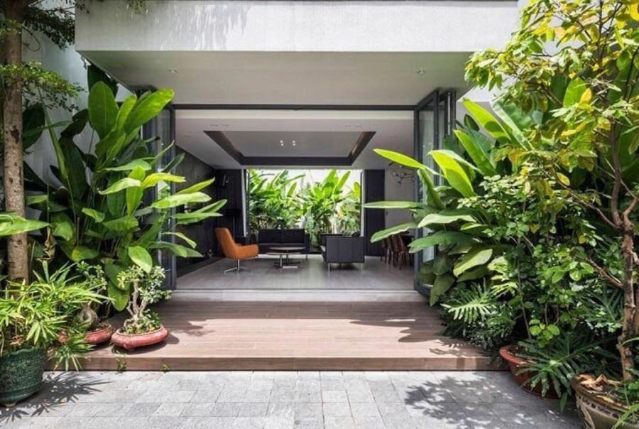 Cây xanh không chỉ có thể tăng thêm sức sống mà còn vô thức khơi dậy khát vọng và theo đuổi Shbet16 chơi game trực tuyến tốt đẹp hơn của bạn. (Ảnh minh họa)