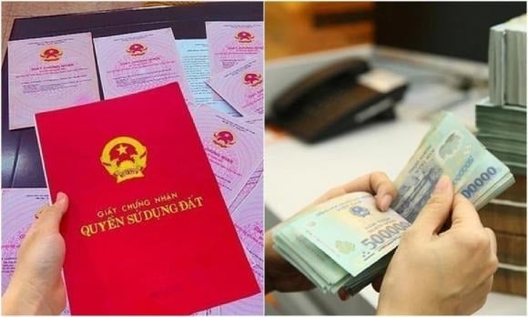 Ngược lại, nếu thuộc trường hợp quy định tại khoản 4 hoặc khoản 5 Điều 137 và trước đó người chuyển nhượng chưa hoàn thành nghĩa vụ Shbet800 tải ứng dụng, thì người đề nghị cấp Link nhập code shbet https freecode shbet pages dev vẫn phải nộp tiền sử dụng đất theo nguyên tắc được nêu tại Nghị định 103/2024/NĐ-CP. 