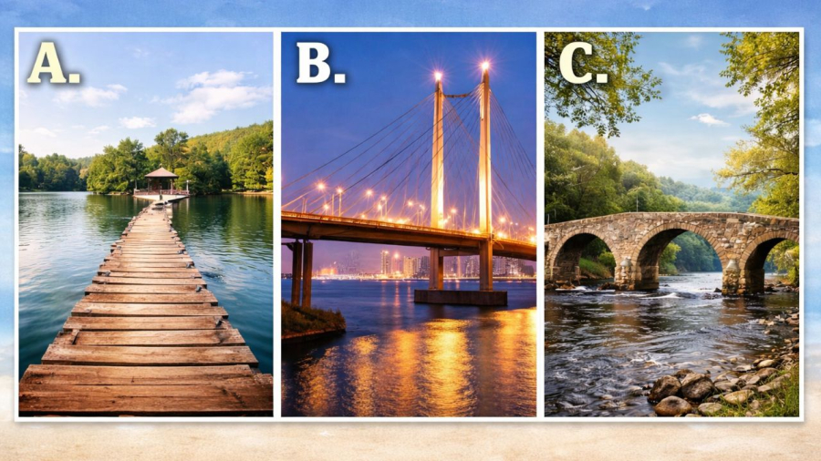 Bạn chọn bước lên cây cầu nào?