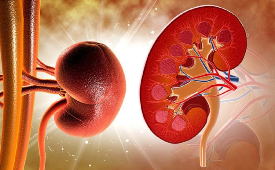 Thận suy giảm sẽ khiến Sh88bet đăng ký miễn phí mệt mỏi rõ rệt