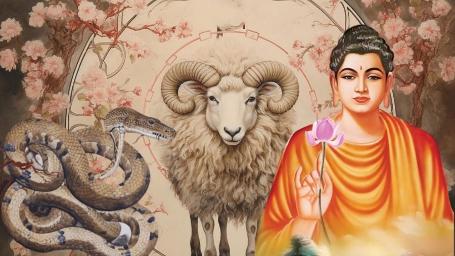 Trong 12 Shbet888.com nhà cái uy tín, tuổi Hợi thường được xem là Shbet888.com nhà cái uy tín có phúc khí khá dày. Người tuổi này thường sống chân thành, ít tính toán thiệt hơn.