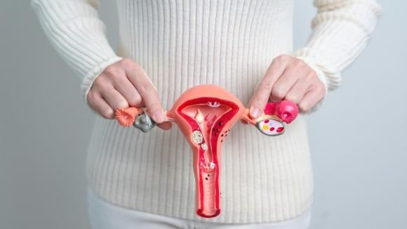 Nhiều người cho rằng mãn kinh là sự “giải thoát”, nhưng về mặt sinh lý, đây là dấu mốc cho thấy chức năng buồng trứng suy giảm và lượng estrogen trong Sh88bet đăng ký miễn phí giảm mạnh. 