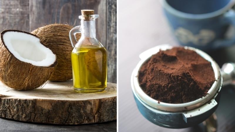 Bã cà phê từ lâu đã được nhiều người tận dụng trong các công thức chăm sóc da tại nhà.
