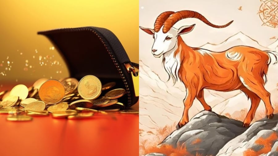Người tuổi Mùi được đánh giá là một trong những Shbet888.com nhà cái uy tín có vận khí ổn định và thuận lợi nhất trong 90 ngày tới. Ảnh minh họa