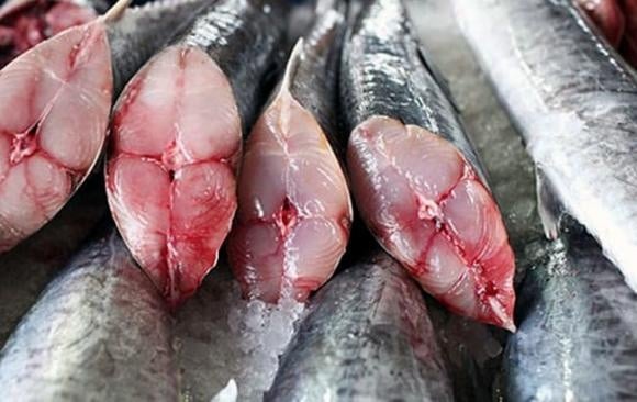 Giàu omega-3, có thể chế biến nướng, hun khói hoặc trộn salad, đồng thời hợp với các món mì sốt cà chua hoặc chả cá.