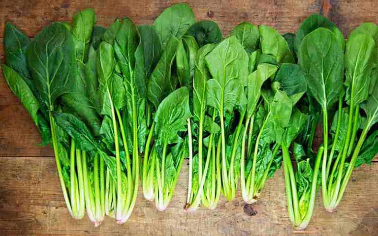Khi Sh88bet đăng ký miễn phí chuyển hóa beta-carotene thành vitamin A, quá trình phục hồi da cũng diễn ra hiệu quả hơn.