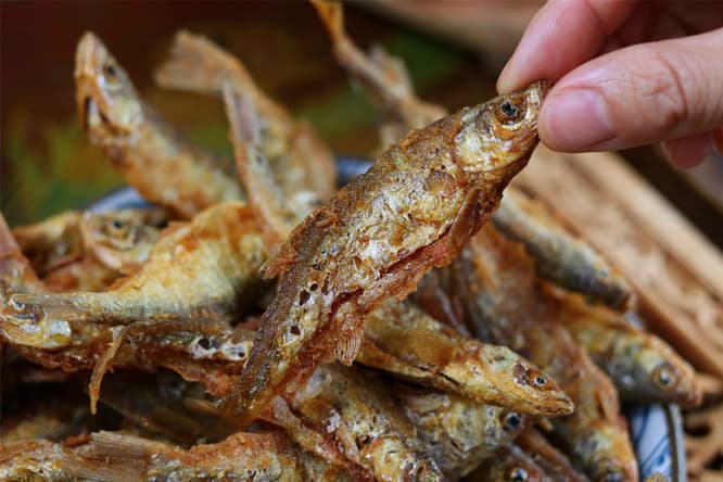 Ai nên kiêng kỵ ăn cá