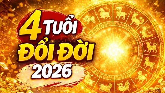 Người tuổi Tý vốn thông minh, nhanh nhạy và có khả năng xoay chuyển tình huống cực tốt. Tuy nhiên, không phải lúc nào họ cũng gặp thời. Có những giai đoạn tuổi Tý phải “gồng mình” vượt khó, Shbet800 tải ứng dụng chật vật dù đã rất cố gắng.    