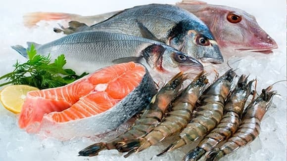 Hải sản dễ tích tụ vi nhựa do môi trường biển bị ô nhiễm.