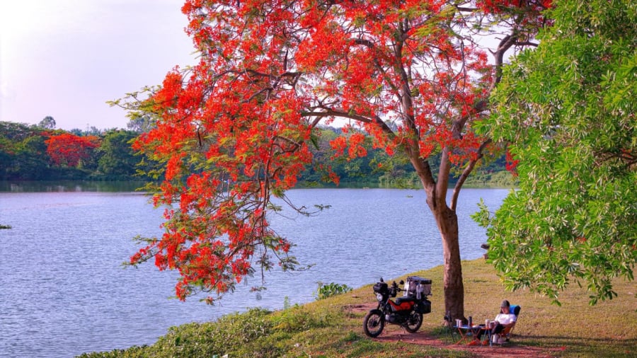 Lập Hạ 2026 vào ngày bao nhiêu?