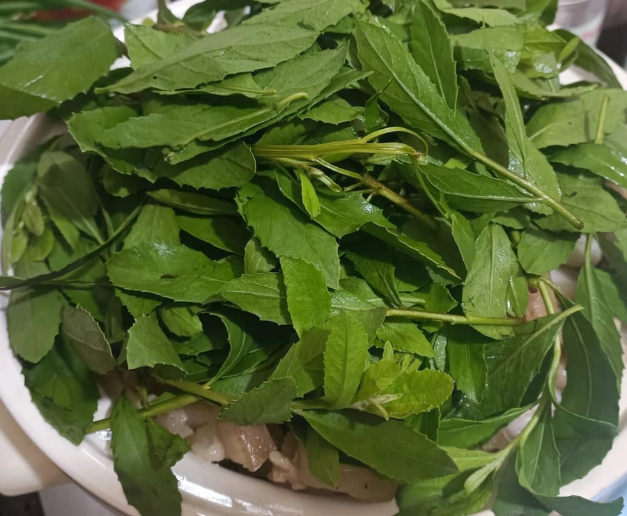 Lá cúc tần ngày nay được chế biến thành nhiều Shbet0099 cá cược trực tuyến lạ miệng, thu hút thực khách
