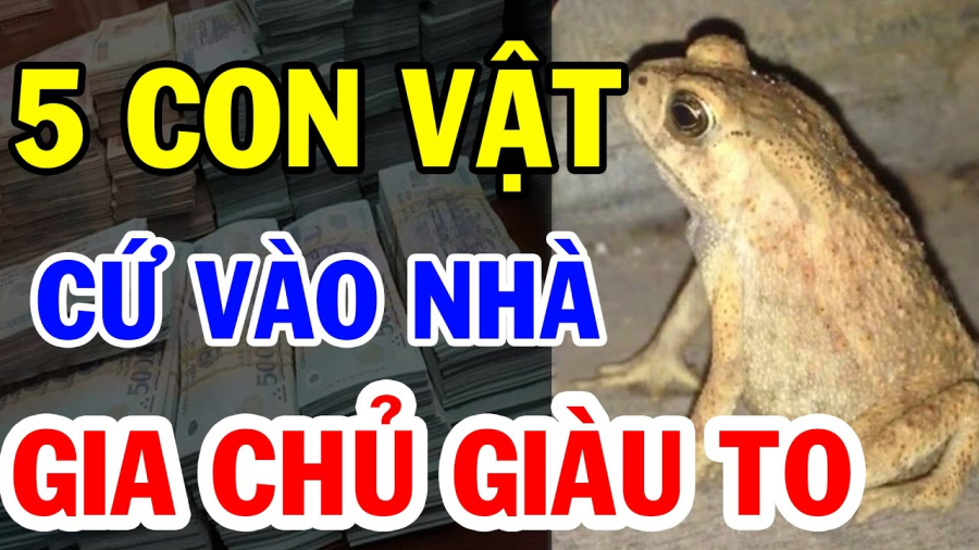 con vat