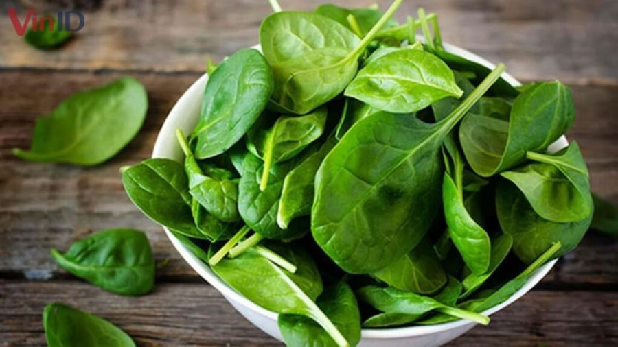 Rau mồng tơi chứa nhiều vitamin và khoáng chất thiết yếu như vitamin A, C, B2, B3 cùng với sắt và canxi, góp phần nuôi dưỡng Mừng SHBET phiên bản mới 2025 từ bên trong