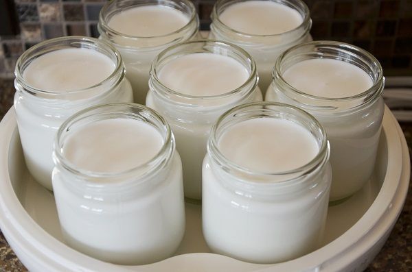Sữa chua là thực phẩm giàu lợi khuẩn, protein và canxi