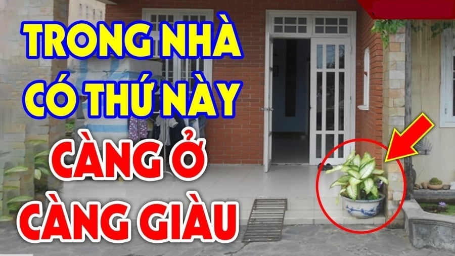 nha o