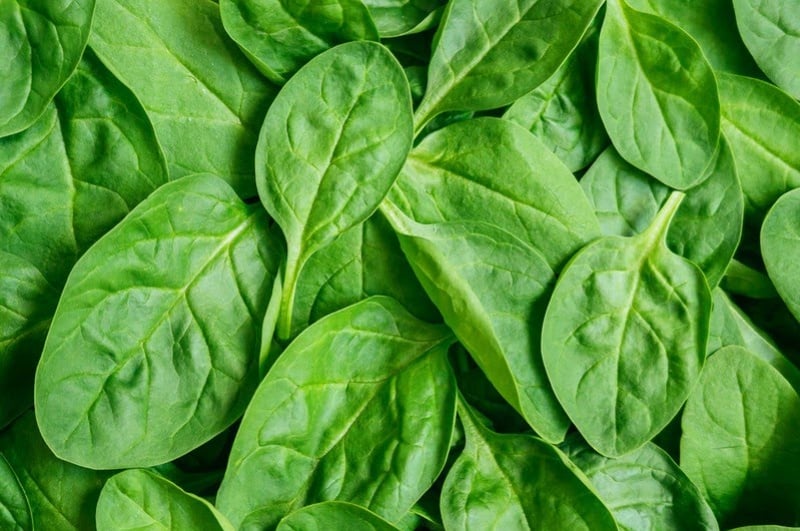 Bên cạnh đó, nhóm thực phẩm này còn cung cấp nhiều vitamin quan trọng như A, C, E và K, góp phần kích thích sản sinh collagen