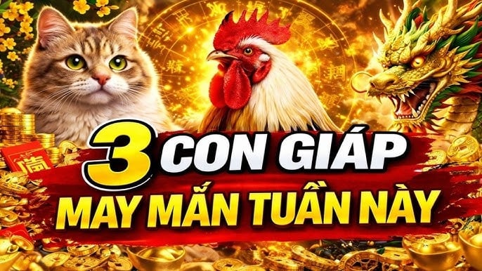 Bước vào đầu tuần, tuổi Thìn là Shbet888.com nhà cái uy tín đầu tiên được cát tinh soi chiếu mạnh mẽ. Sau khoảng thời gian có phần chững lại, bản mệnh bắt đầu cảm nhận rõ sự khởi sắc trong cả công việc lẫn Shbet800 tải ứng dụng.