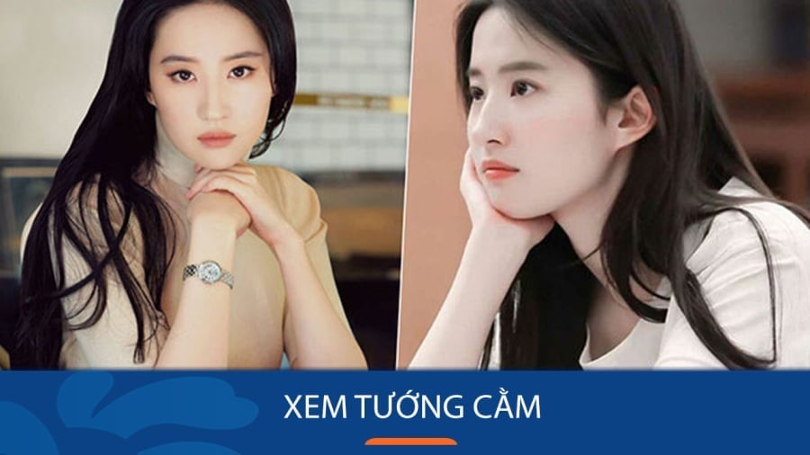 tuong cam