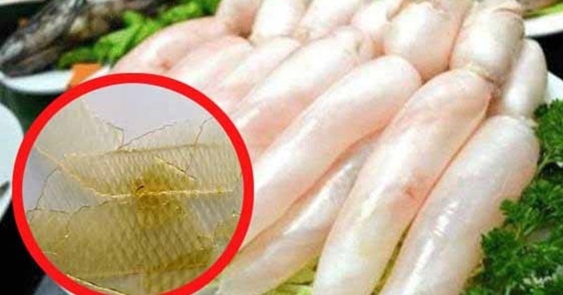 Bong bóng cá là một trong những bộ phận ít được chú ý nhưng lại có giá trị dinh dưỡng cao. Đây là cơ quan giúp cá điều chỉnh độ nổi khi bơi, nhưng khi chế biến đúng cách, nó trở thành nguyên liệu rất bổ dưỡng.    