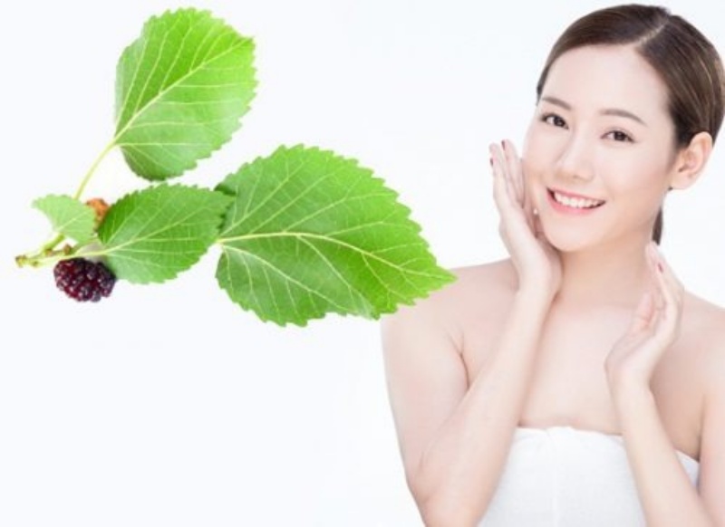 Collagen là yếu tố quyết định độ đàn hồi và độ săn chắc của Mừng SHBET phiên bản mới 2025, giúp da giữ được sự căng mịn theo thời gian.