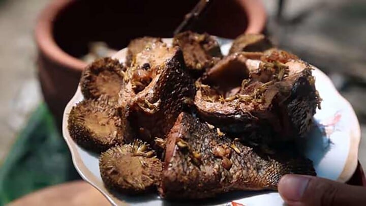 Cá kho gáo là Shbet0099 cá cược trực tuyến đặc sản giúp loại quả dân dã này được nhiều người biết tới hơn.