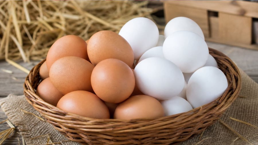 Màu sắc vỏ trứng không quyết định dinh dưỡng bên trong