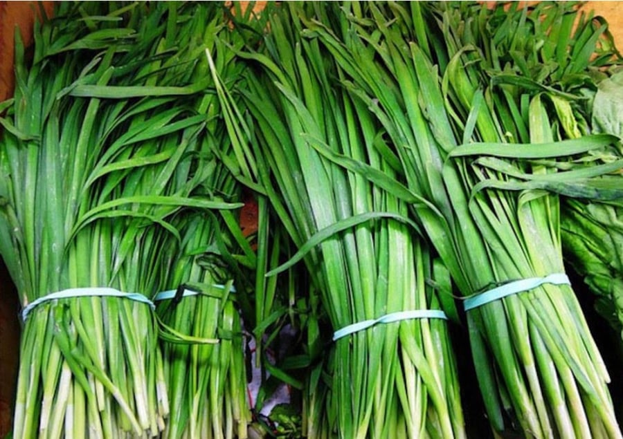 Chất xơ dồi dào trong hẹ còn mang lại lợi ích cho đường ruột. Ảnh minh họa