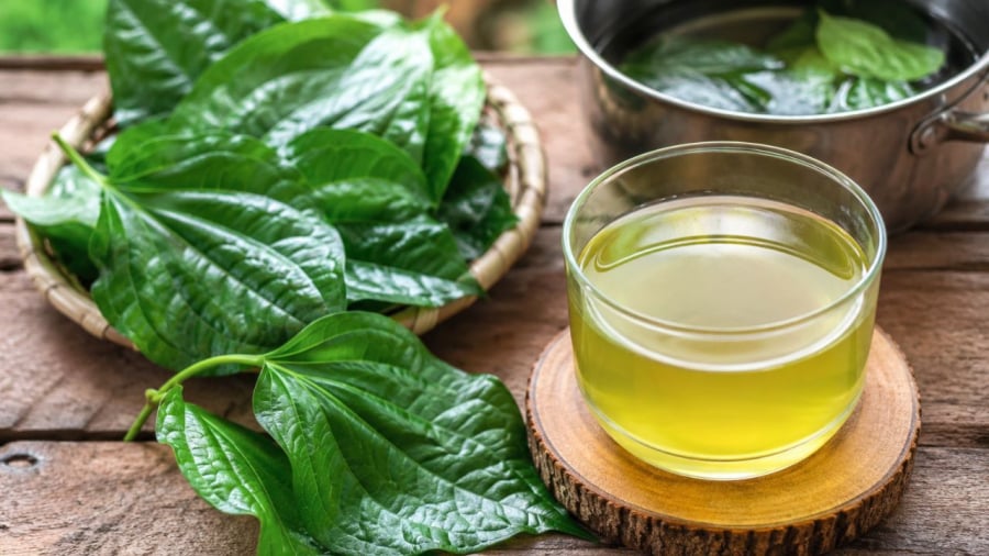 Lá lốt tốt cho hệ tiêu hoá