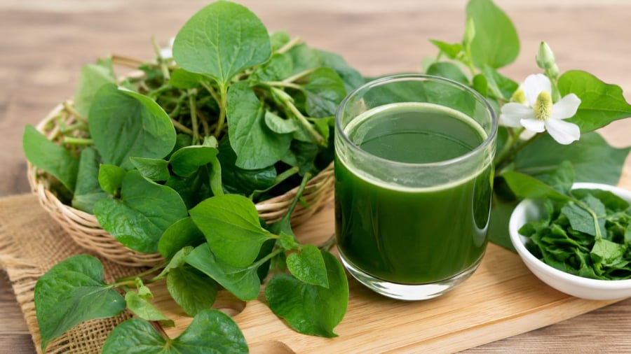 Nước rau diếp cá giúp thanh nhiệt giải độc
