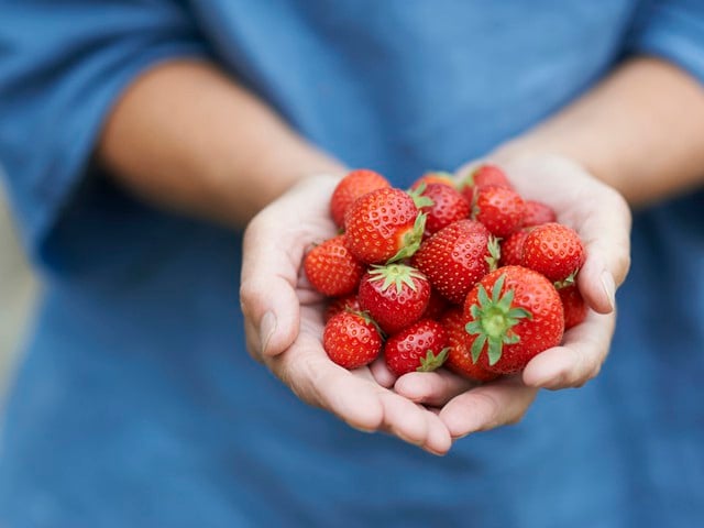 Loại quả này chứa vitamin C và anthocyanin, giúp hỗ trợ bảo vệ Mừng SHBET phiên bản mới 2025 trước các tác động từ môi trường.