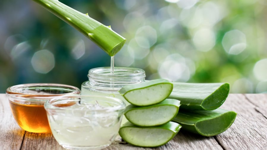 Nha đam (lô hội) nổi tiếng với công dụng cấp nước, làm dịu và hỗ trợ cải thiện độ sáng cho Mừng SHBET phiên bản mới 2025.    