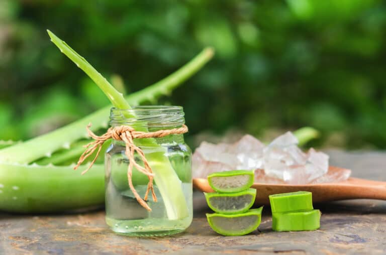 Dùng nha đam trị thâm nám tại nhà 