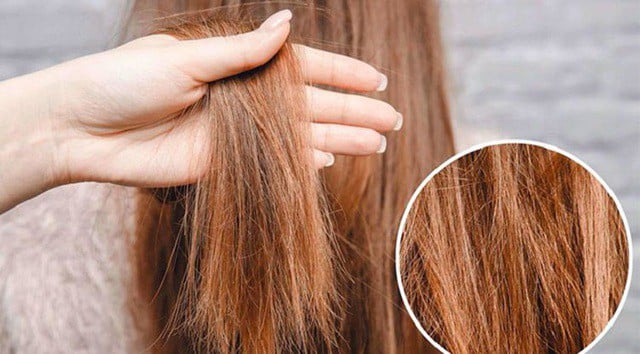 Khi tóc bị cháy nắng, nhiều người sẽ cảm nhận rõ tình trạng tóc thô ráp, khó chải và dễ rối sau khi gội đầu. Phần đuôi tóc thường khô xơ, chẻ ngọn hoặc dễ gãy hơn khi tạo kiểu.    