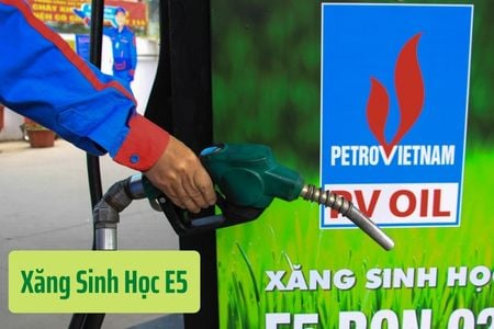 Đổ xăng sinh học E5 và xăng RON 95 có gì khác nhau?