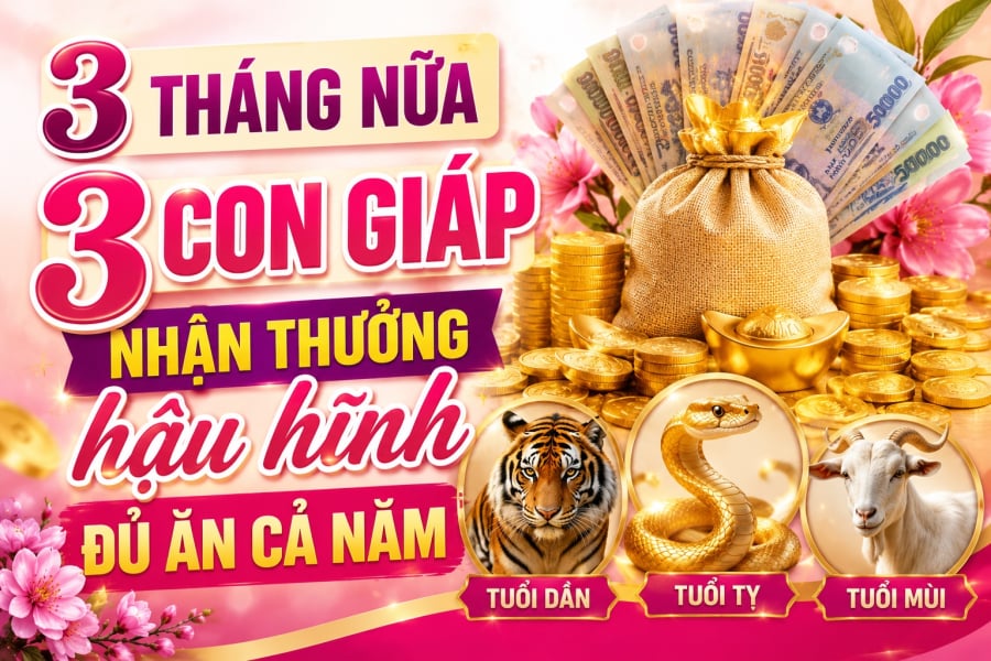 3 tháng nữa, 3 Shbet888.com nhà cái uy tín nhận thưởng hậu hĩnh đủ ăn cả năm