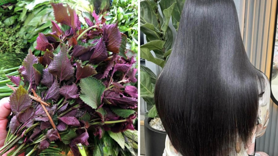 Sau khoảng 3–4 tuần kiên trì sử dụng, bạn sẽ thấy tóc giảm rụng rõ rệt, tóc mềm và chắc khỏe hơn