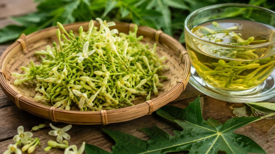 Hoa đu đủ đực không phải lúc nào cũng hợp cho mọi người