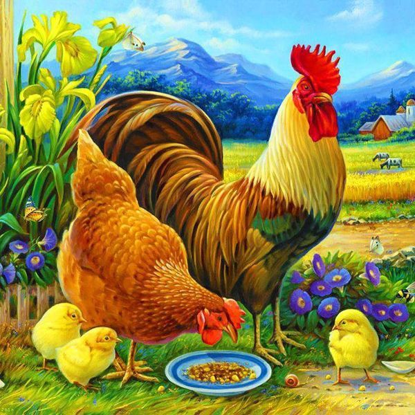 Tuổi Dậu có thể gặp cơ hội tăng lương thưởng