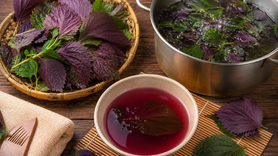 Nước tía tô mang lại nhiều công dụng khi gội đầu