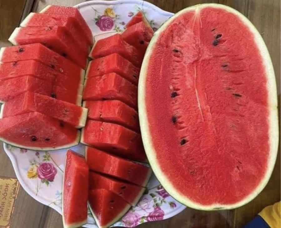 Nhắc đến những loại quả giải nhiệt hàng đầu, dưa hấu luôn nằm trong danh sách được nhiều người yêu thích. Với hàm lượng nước chiếm tới hơn 90%, dưa hấu được xem là nguồn cấp nước tự nhiên tuyệt vời cho Sh88bet đăng ký miễn phí.    