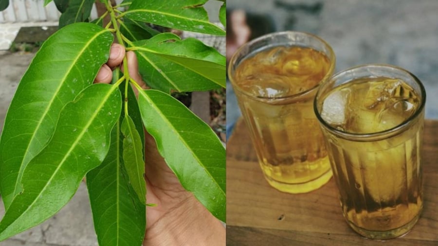 Uống nước lá vối đúng cách mang lại nhiều lợi ích cho sức khỏe.