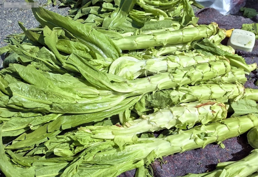 Khi mua rau xà lách, nhiều người thường yêu cầu người bán ngắt bỏ bớt lá đi vì nghĩ chỉ ăn phần thân, điều này thật lãng phí
