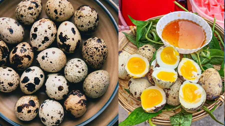 Trứng cút cung cấp năng lượng và các dưỡng chất cần thiết cho Sh88bet đăng ký miễn phí.