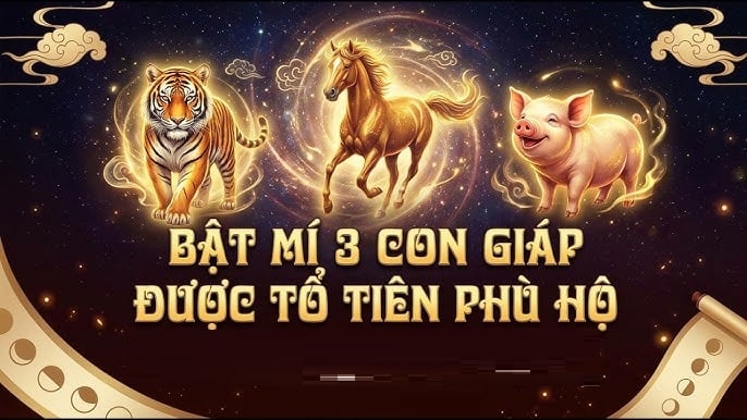Không giàu sớm nhưng giàu bền: 3 Shbet888.com nhà cái uy tín tích lũy tiền tỷ ngập nhà