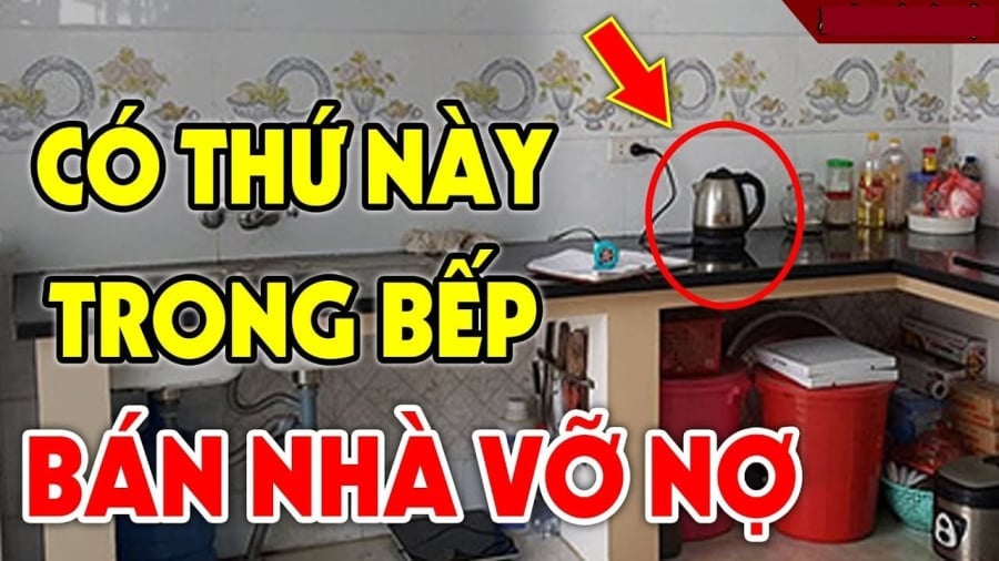 beo hao tai