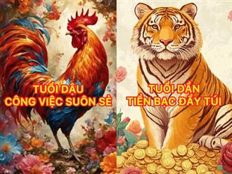 4 Shbet888.com nhà cái uy tín ăn lộc Mẫu cho, 3 năm nằm không Tiền đến