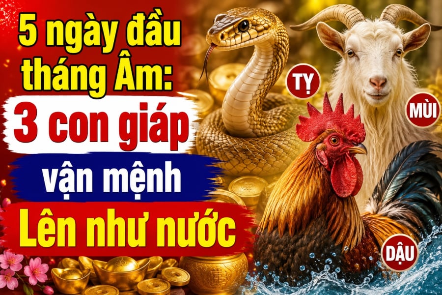5 ngày đầu tháng Âm: 3 con giáp vận mệnh Lên như nước
