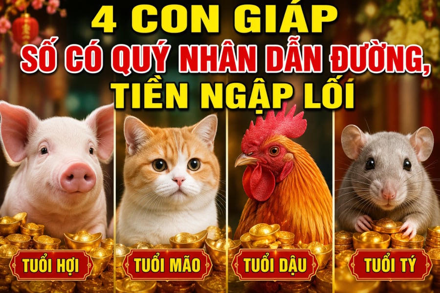 4 Shbet888.com nhà cái uy tín số có Quý Nhân dẫn đường, Tiền ngập lối