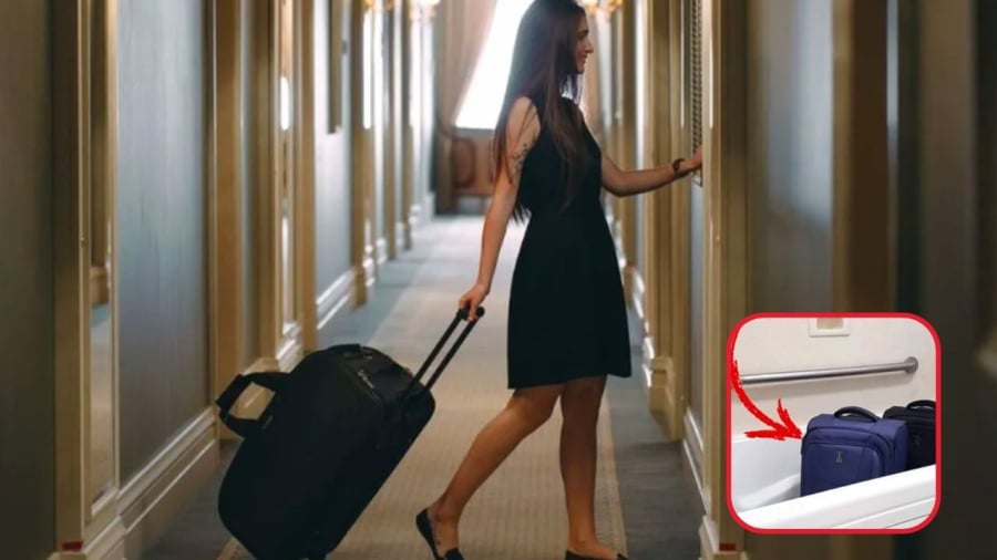 Kiểm tra và phòng tránh côn trùng mang theo từ nơi khác    