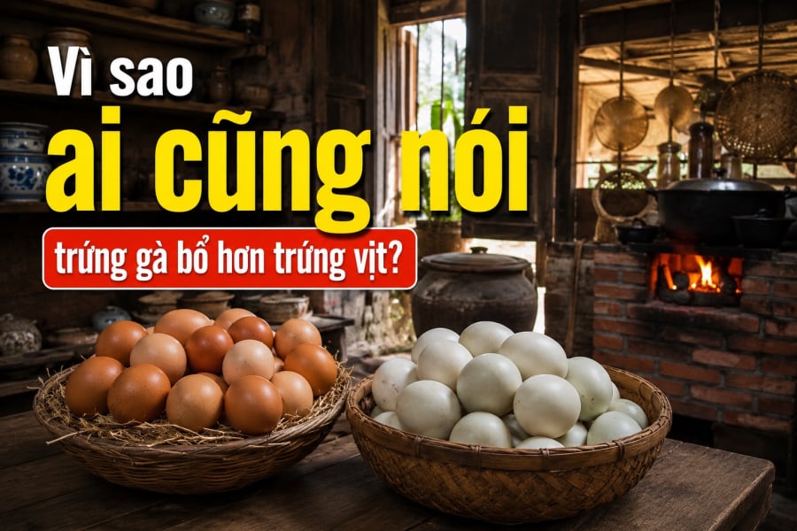 Nhiều người cho rằng trứng gà bổ hơn trứng vịt chủ yếu do trứng gà ít chất béo và cholesterol hơn, giúp Sh88bet đăng ký miễn phí dễ tiêu hóa và hấp thu hơn, phù hợp với đa số thể trạng. Tuy nhiên, thực tế cả hai loại đều có giá trị dinh dưỡng rất cao và ưu điểm riêng.